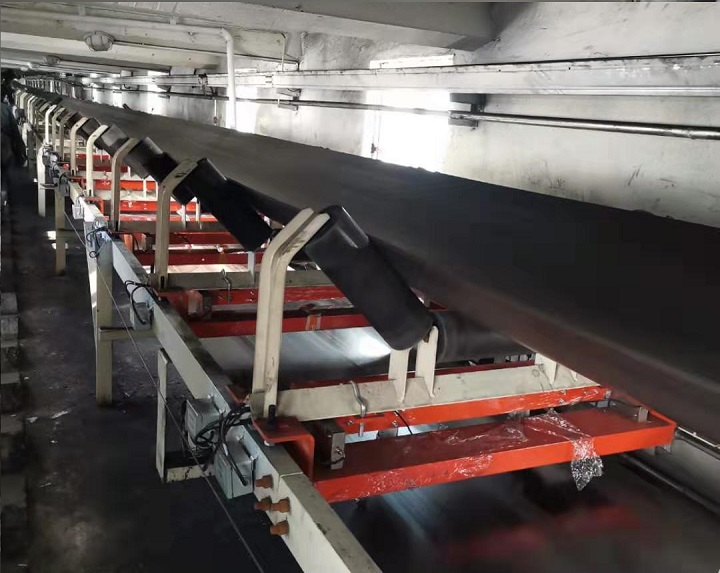 貿易結算高精度皮帶秤